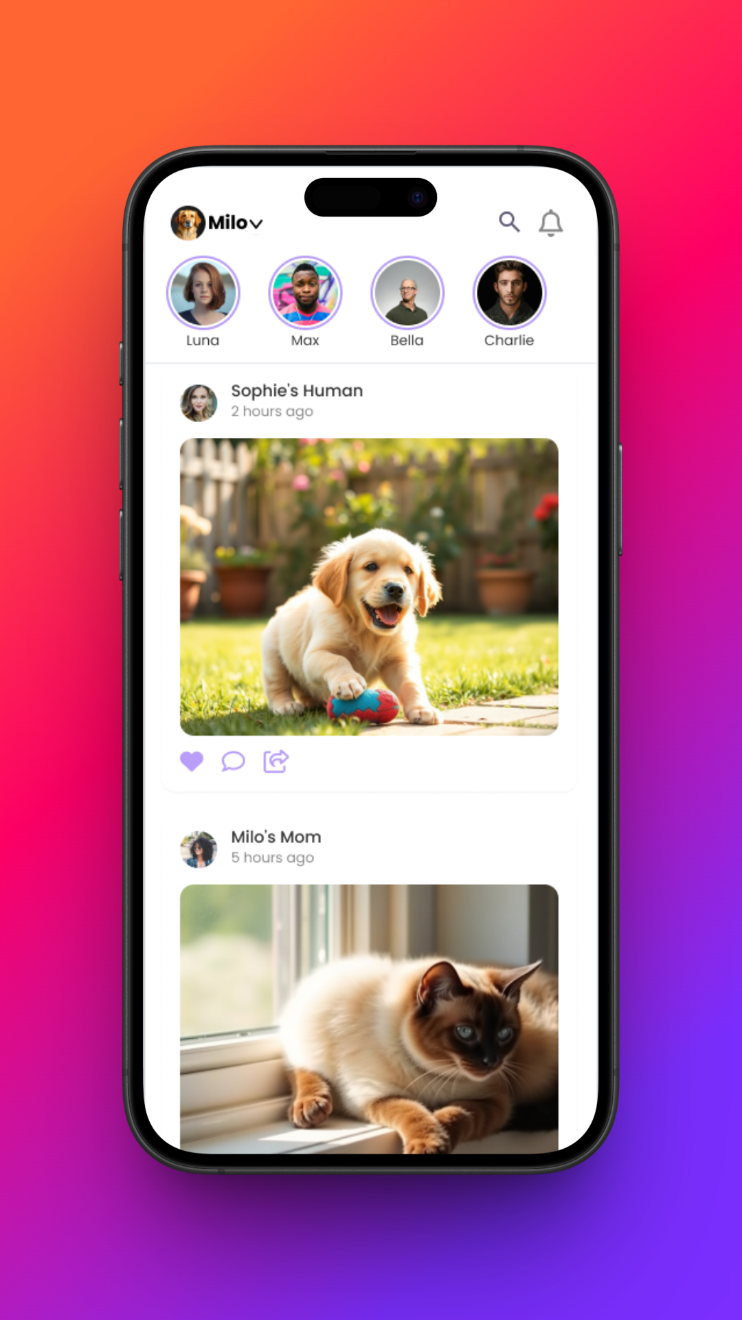 Petzso social feed