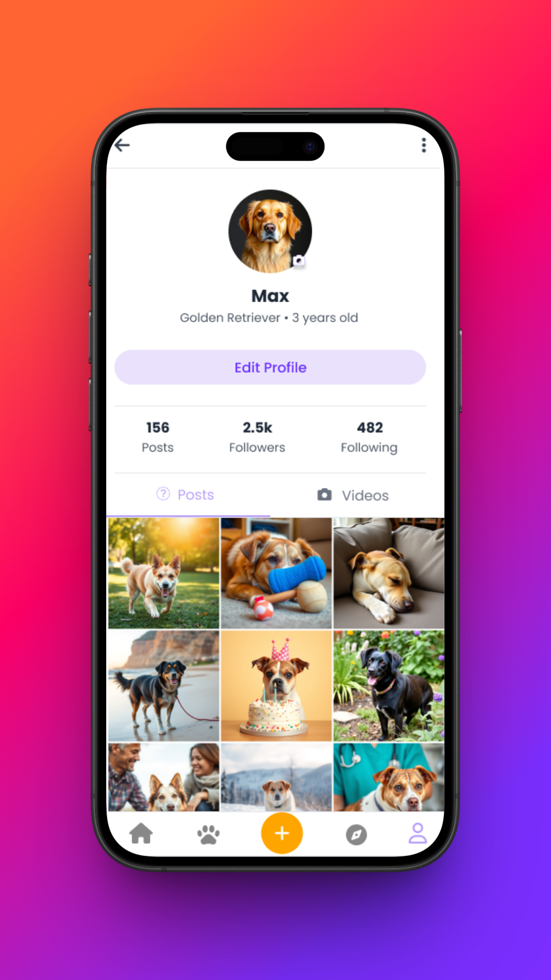 Petzso social feed